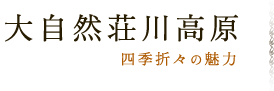 大自然荘川高原 四季折々の魅力